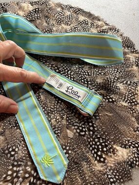 Lilly Pulitzer nylon striped belt